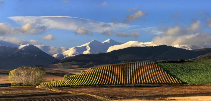 Rioja spanien entdecken vinjournalen vineyard winetourism