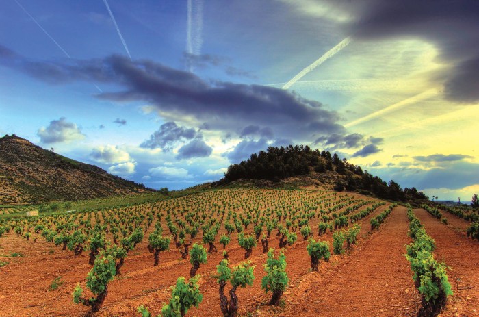 Rioja clima humedad estructural burgos murprotec responsable route jerez regions alongside logroño