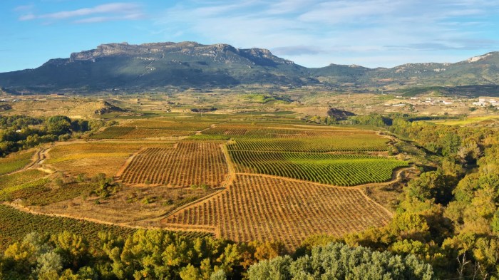 Iberian city for which a wine is named