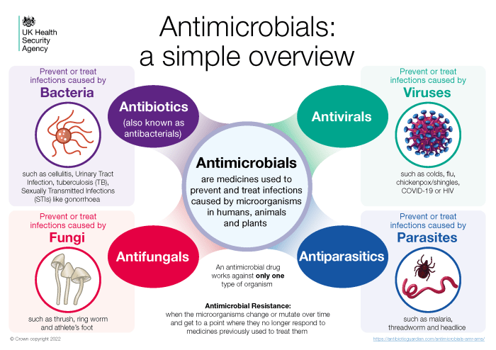 Select the advantages of phenolic compounds as antimicrobial agents