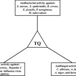 Bacteria viruses microorganisms