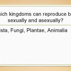 Biological classification pogil answers model 4