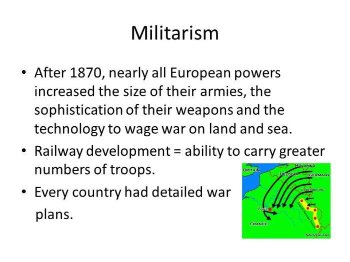 Which armies had increased in size between 1870 and 1914